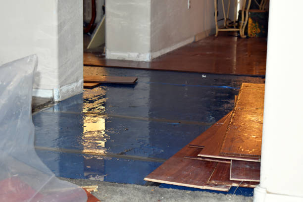 Professional Water Extraction technician working in Roseville, OH