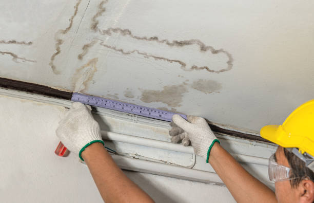 Reliable Water Extraction contractor in Roseville, OH by Water Damage Irwin